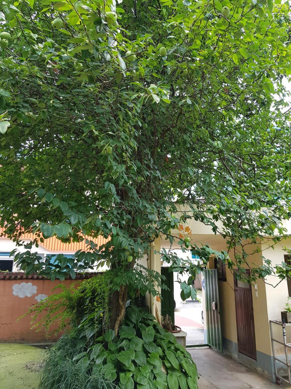 Jnw Minbak Hotel Damyang Buitenkant foto